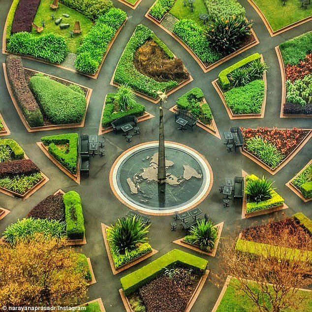 Surrounded by the Lotus Flower